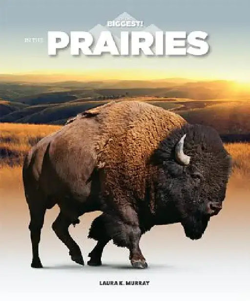 In the Prairies by Laura K. Murray