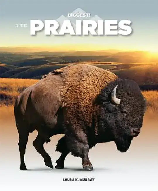 In the Prairies by Laura K. Murray