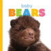 Baby Bears by Kate Riggs