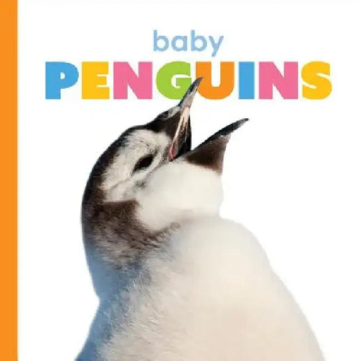Baby Penguins by Kate Riggs