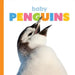 Baby Penguins by Kate Riggs