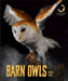 Barn Owls by Quinn M. Arnold
