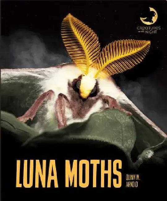 Luna Moths by Quinn M. Arnold