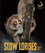 Slow Lorises by Quinn M. Arnold