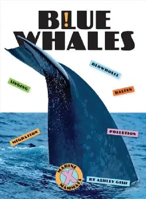 Blue Whales by Ashley Gish