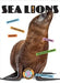 Sea Lions by Ashley Gish