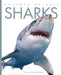 Sharks by Valerie Bodden