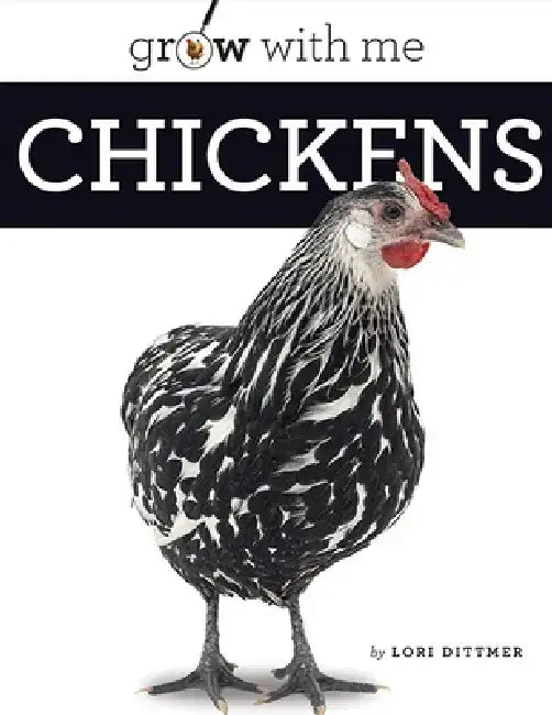 Chickens by Lori Dittmer