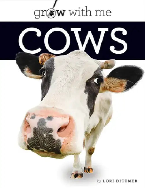 Cows by Lori Dittmer
