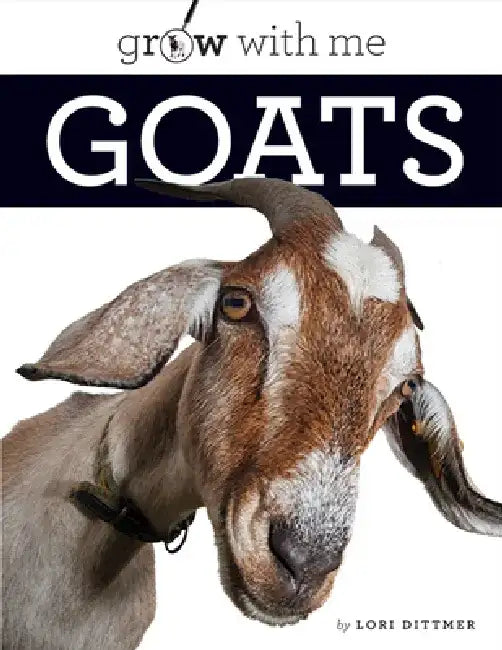 Goats by Lori Dittmer