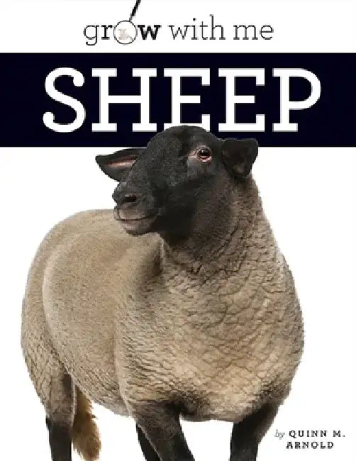 Sheep by Quinn M. Arnold
