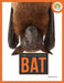 Bat by Melissa Gish