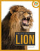 Lion by Melissa Gish