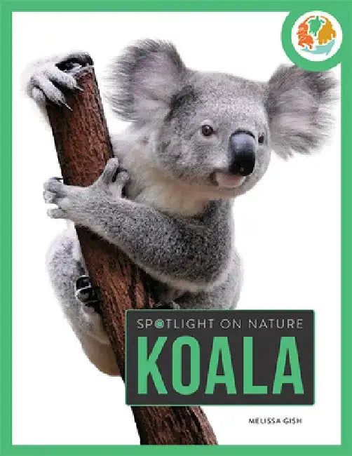 Koala by Melissa Gish