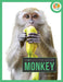 Monkey by Melissa Gish