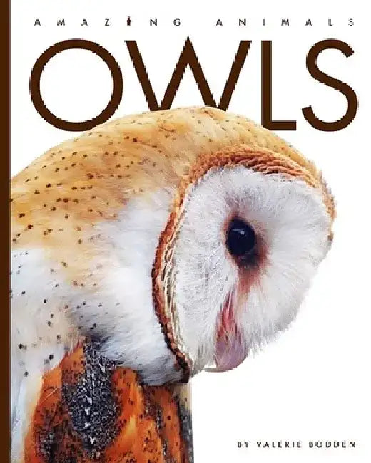Owls by Valerie Bodden