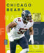 Chicago Bears by Michael E. Goodman