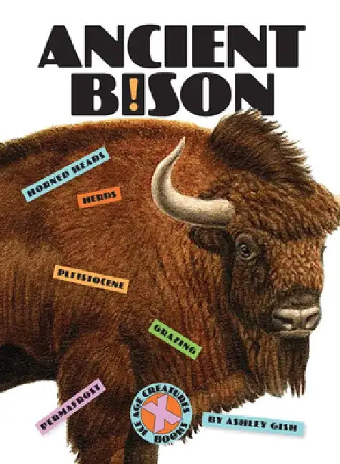 Ancient Bison by Ashley Gish
