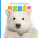 Osos Polares Bebés by Kate Riggs