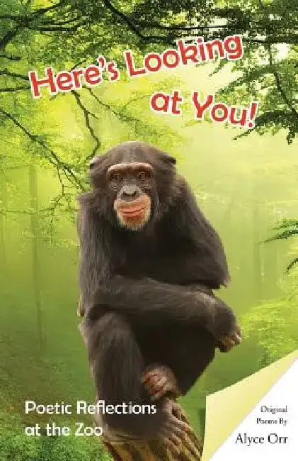 Here's Looking at You by Alyce J. Orr