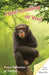 Here's Looking at You by Alyce J. Orr