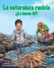 La Naturaleza Recicla--¿Lo Haces Tú? (Nature Recycles--How about You?) by Michelle Lord, Cathy Morrison