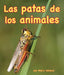 Patas de Los Animales (Animal Legs) by Mary Holland