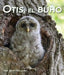 Otis, El Búho (Otis the Owl) by Mary Holland