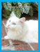 Sweetest Purrs, Spicy by Lorraine Abrams