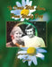 To Doris with Love, From Woody Day My Days with Doris Day by Syd Wood