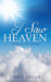 I Saw Heaven by Chris Louer