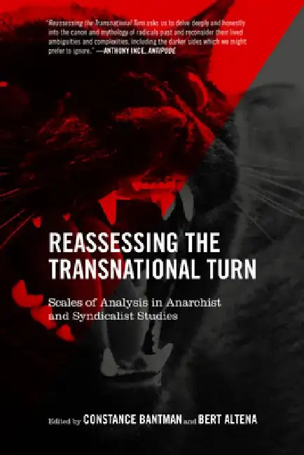 Reassessing the Transnational Turn: Scales of Analysis in Anarchist and Syndicalist Studies by Constance Bantman