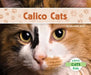 Calico Cats by Meredith Dash
