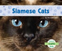 Siamese Cats by Meredith Dash