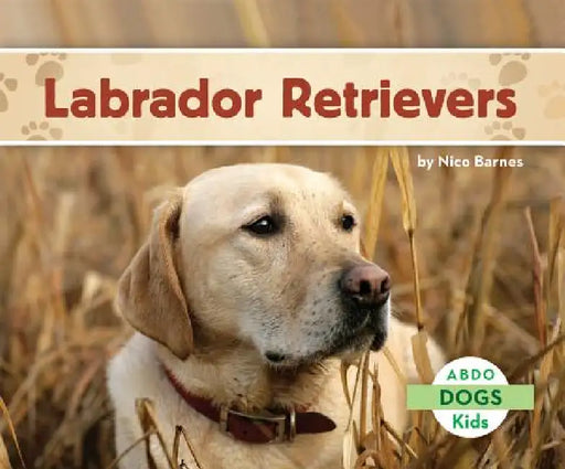 Labrador Retrievers by Nico Barnes