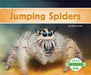 Jumping Spiders by Claire Archer