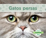 Gatos Persas (Persian Cats) by Meredith Dash