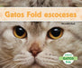 Gatos Fold Escoceses (Scottish Fold Cats) by Meredith Dash