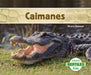 Caimanes (Alligators) by Grace Hansen