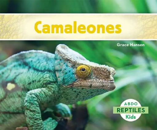Camaleones (Chameleons) by Grace Hansen