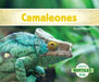 Camaleones (Chameleons) by Grace Hansen