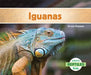 Iguanas (Iguanas) by Grace Hansen