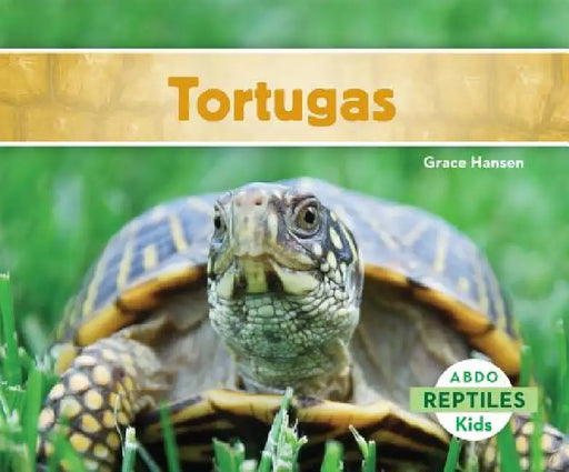 Tortugas (Turtles) by Grace Hansen