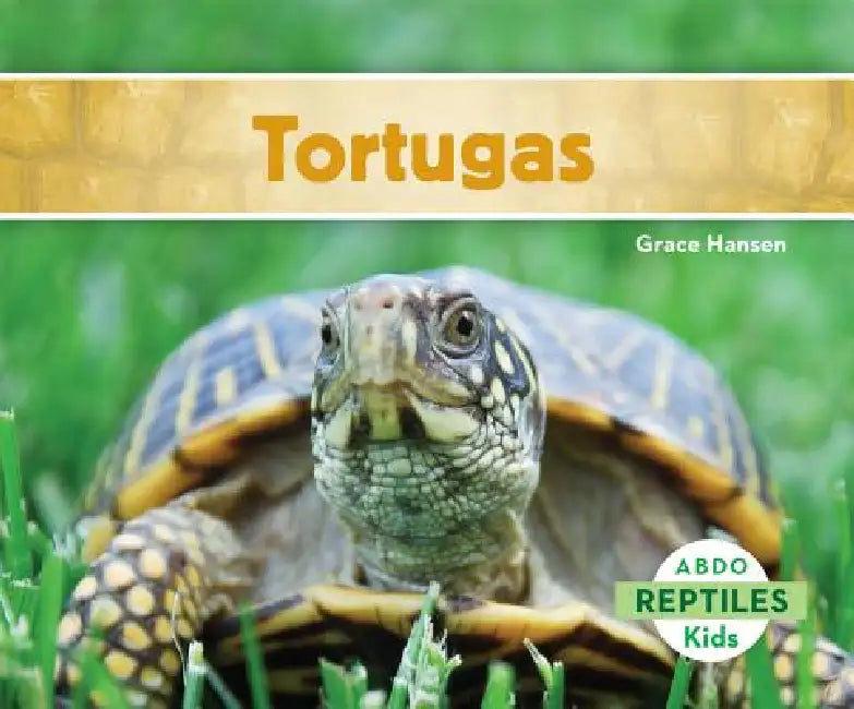 Tortugas (Turtles) by Grace Hansen
