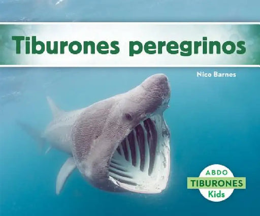 Tiburones Peregrinos (Basking Sharks) by Nico Barnes