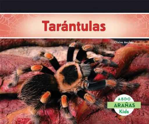 Tarantulas (Tarantula Spiders) by Claire Archer