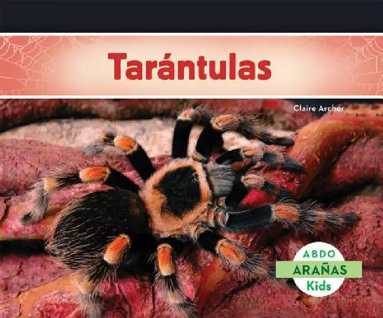 Tarantulas (Tarantula Spiders) by Claire Archer