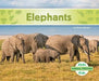 Elephants by Grace Hansen
