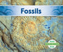 Fossils by Grace Hansen