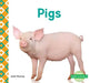 Pigs by Julie Murray